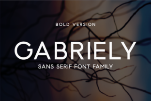 Gabriely Bold Typeface for Modern Maker Brands