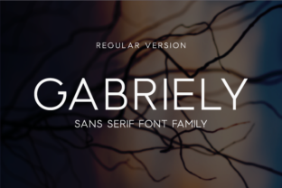 Gabriely Font Review: A Modern Sans Serif for Designers