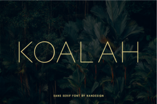 Koalah: A Modern Sans Serif Font for Bold Campaigns