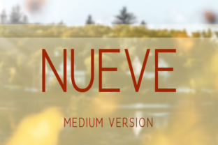 Nueve Medium: The Elegant Sans Serif Typeface for Editorial Design