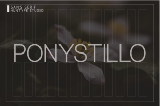 Ponystillo: A Contemporary Sans Serif Typeface for Modern Editorial Design