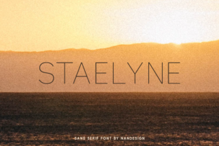 Staelyne: An Elegant Sans Serif Font for Editorial Design