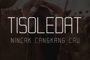 Tisoledat: A Modern Sans Serif Typeface for Branding
